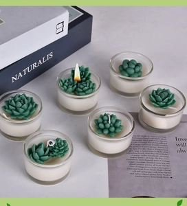 Macro shot of 6-piece succulent scented candle set in glass jars for home decor