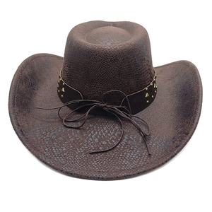 Detail of dark brown faux suede cowboy hat with snake skin pattern and gold studs