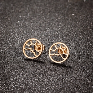 Rose gold stainless steel hollow sun and wave stud earrings on dark glitter surface