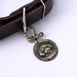 Close-up of bronze poodle ID tag and brown leather pet collar on white background