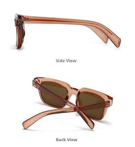 Side and back view of rectangular tea brown sunglasses with transparent frames and dark lenses