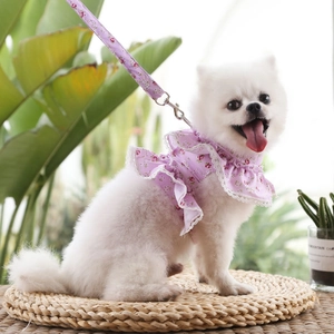 Floral lace pet harness and leash set for small dogs on a white Pomeranian dog