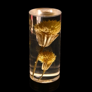Detailed macro view of two golden flowers preserved in a clear resin cylinder night light
