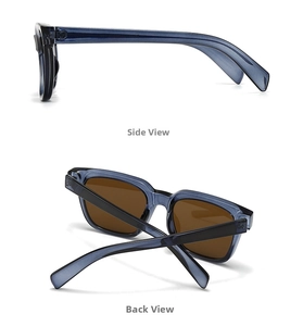 Side and back view of square sunglasses featuring transparent grey frames and tea lenses