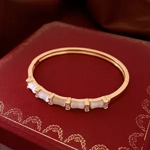 Bracelet jonc doré avec zircons et pierres œil-de-chat sur écrin en velours rouge chic