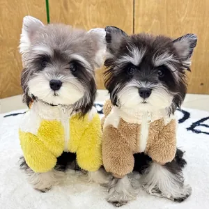 Two dogs wearing warm polar fleece zipper vests in yellow and brown color blocking