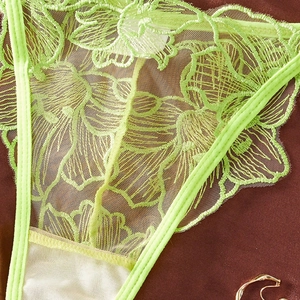 Detail of neon green floral embroidery lace on sexy French style panties