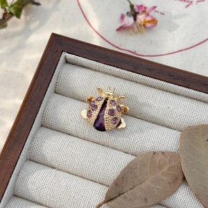 Detailed macro view of ladybug brooch with purple crystals in a wooden jewelry box