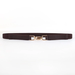 Brown elastic waist belt for women with elegant gold metal buckle on white background