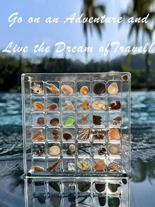 Macro shot of 36 grids magnetic acrylic display box filled with assorted tiny sea shells