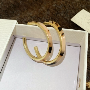 Detailed close-up of C-shaped acetate leopard print and pink enamel hoop earrings on box