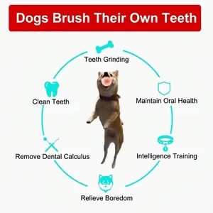 Durable rubber dog treat ball for dental cleaning and interactive molar training in red