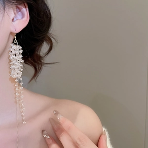 Close-up of elegant crystal beaded fringe earrings with long gold chain tassels on model
