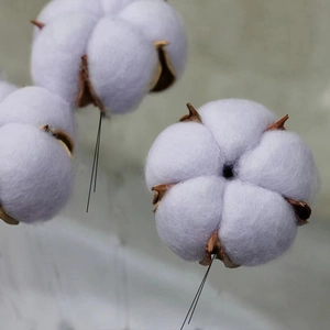 Lichtpaarse gedroogde katoenbollen met ijzerdraad stelen voor creatieve bloemstukken