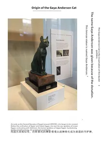 Detail view of Gayer-Anderson cat statue with bronze texture and gold earring detail