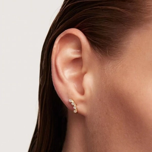 Detail of s925 silver stud earring with five round diamonds in a curved gold cluster