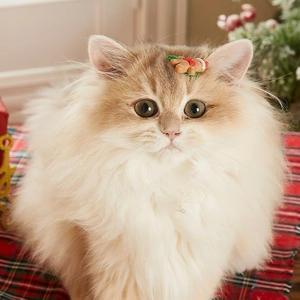 Christmas gingerbread man pet hair clip with red scarf on longhair cat for holiday