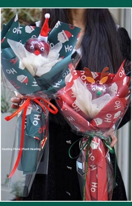 Detail of Christmas apple gift wrap with Santa and reindeer motifs in red and green
