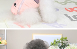 Detail of pink quilted pet vest showing zipper closure and waterproof nylon fabric