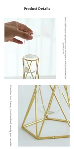 Detail of detachable clear glass tube and handcrafted gold iron frame for hydroponics