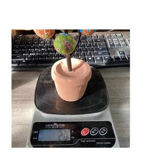 Primer plano de una planta de huevos de Pascua de 20g en una báscula digital
