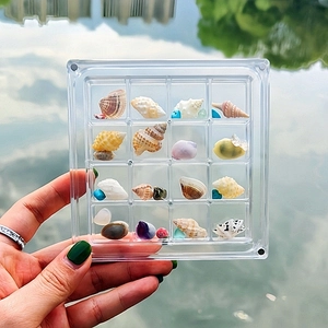 Macro view of 16-grid clear acrylic storage box holding natural seashells over water
