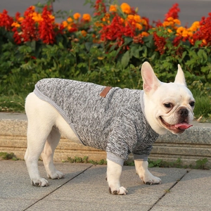 Close-up of gray knitted pet sweater with classic leather tag on a French Bulldog