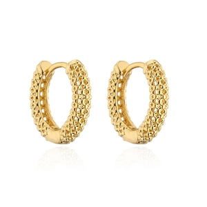 Minimalist gold hoop earrings with intricate mesh hollow texture and hinged clasp