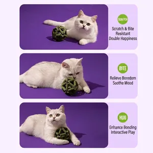 Natuurlijk zilvervine en kattenkruid bal speelgoed voor katten om te bijten