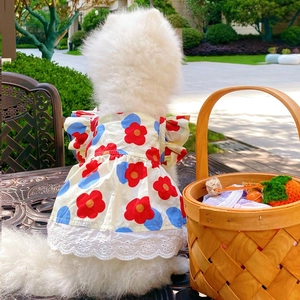 Detailed view of red and blue floral cotton dog dress with delicate white lace trim
