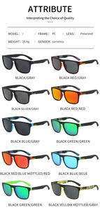 Polarized sunglasses technical details with PC frame specifications and color options