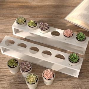Detail of five-hole white resin display rack with colorful succulent pots on wooden table
