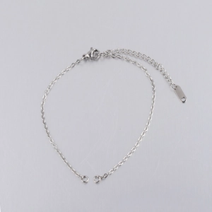 Detail of a 2mm silver stainless steel chain with lobster clasp and extension for DIY jewelry
