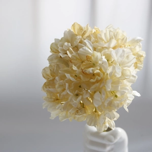 Detail of cream vintage hydrangea faux flower with burnt edges in white vase