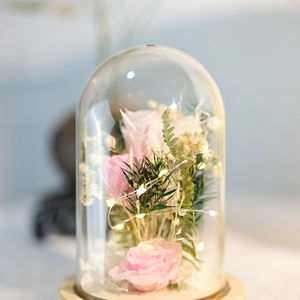 Macro shot of preserved pink roses with LED light string in a glass dome on wood base