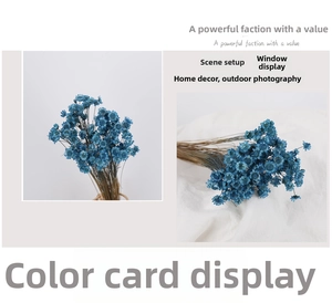 Detail view of blue dried star flowers for home decor and DIY botanical crafts