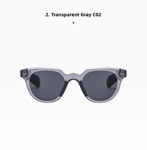 Close-up of transparent grey sunglasses frame with gold arrow metal detail and grey lens