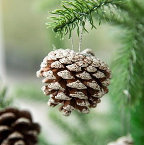 Macro view of natural pine cone hanging ornament with white snow spray and silver string