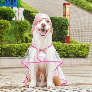 Detail of transparent waterproof dog raincoat with pink edges for large golden retriever