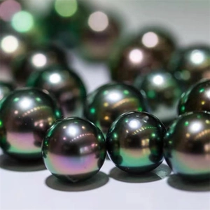 Macro shot of round black pearl stud earring with peacock green metallic luster