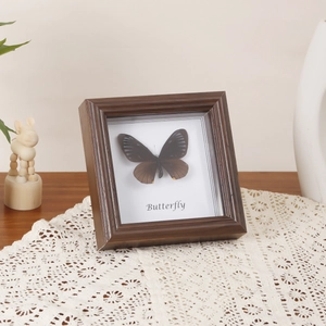 Vintage dark brown square wooden shadow box frame featuring a real butterfly specimen