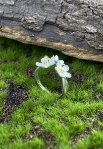 Detailed close-up of S925 sterling silver forget-me-not flower ring on moss background