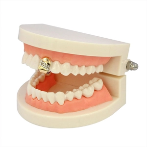Iced out hip hop single tooth grill with gold plating and double rows of micro rhinestones