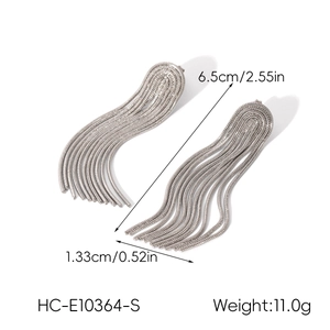 Detail view of silver stainless steel tassel earrings with 6.5cm chain length and weight info