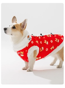 Dettaglio del gilet rosso per animali con bottoni cinesi e bordo in peluche su un Corgi