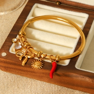 Detailed shot of a gold stainless steel bangle featuring sun, bow, and chili pepper charms
