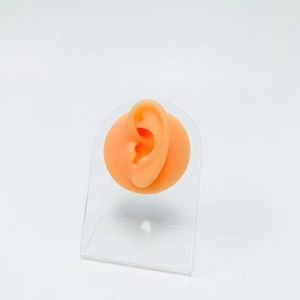 Detailed view of flesh-colored silicone ear model on an acrylic display stand