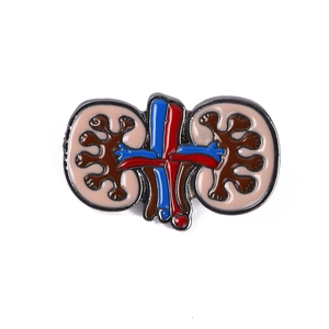 Macro-opname van een anatomische nier emaille speld met rode en blauwe details