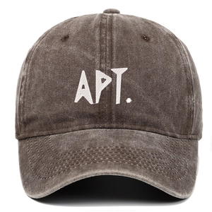 Detail of APT. white embroidery on brown washed cotton vintage baseball cap