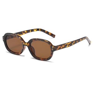 Classic tortoise shell sunglasses with dark brown lenses and silver double-dot accents